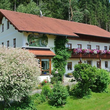 Haus Am Waldrand - Ferienwohnung Augustin Grafenau  Exteriér fotografie