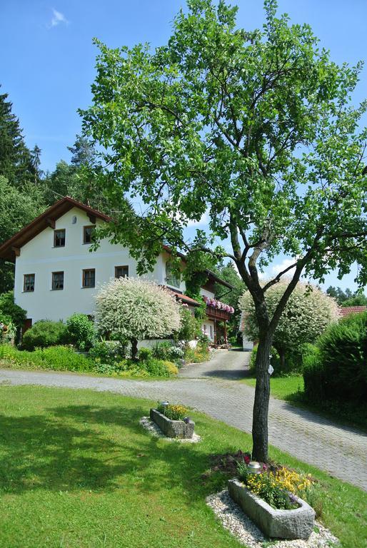 Haus Am Waldrand - Ferienwohnung Augustin Grafenau  Exteriér fotografie