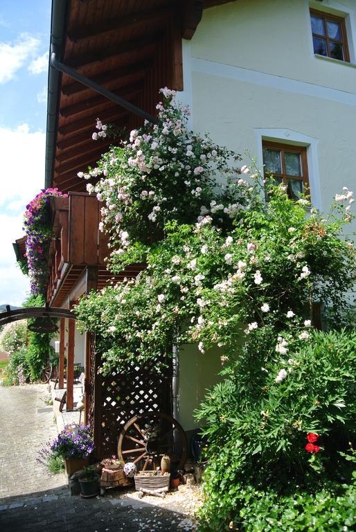Haus Am Waldrand - Ferienwohnung Augustin Grafenau  Exteriér fotografie