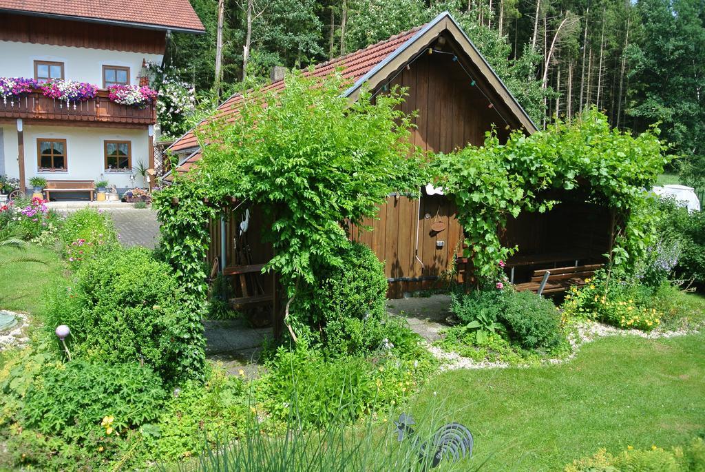 Haus Am Waldrand - Ferienwohnung Augustin Grafenau  Exteriér fotografie